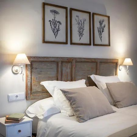 Petronila 1881 * Mérida