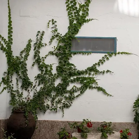 Petronila 1881 Apartment *