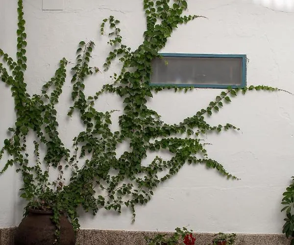 Petronila 1881 Appartement *